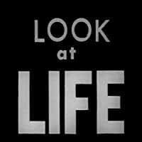 life and looks